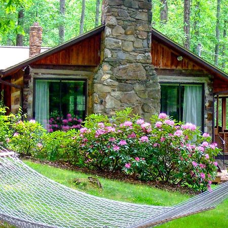 Asheville Cabins Of Willow Winds Exterior photo